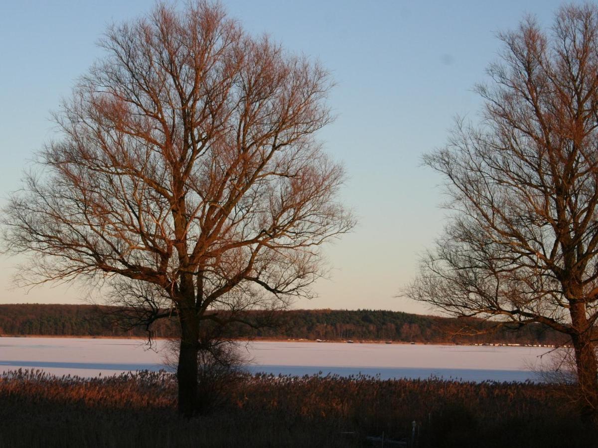 Ilonas Seeblick Apartman Plau am See Kültér fotó